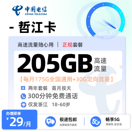 电信哲江卡【浙江专属】29元享205G流量+300分钟通话